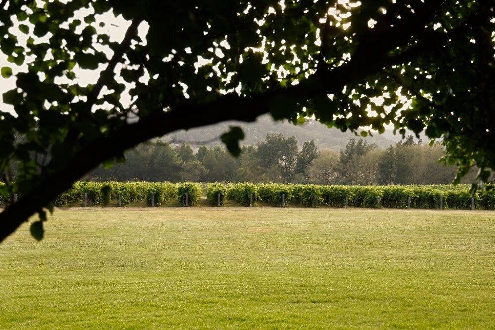 Bunnamagoo Wines-马奇必去景点