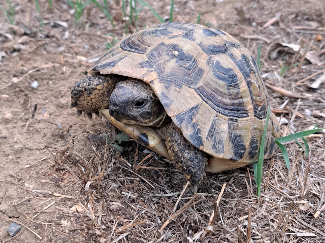 Guesthouse Lord Byron主图