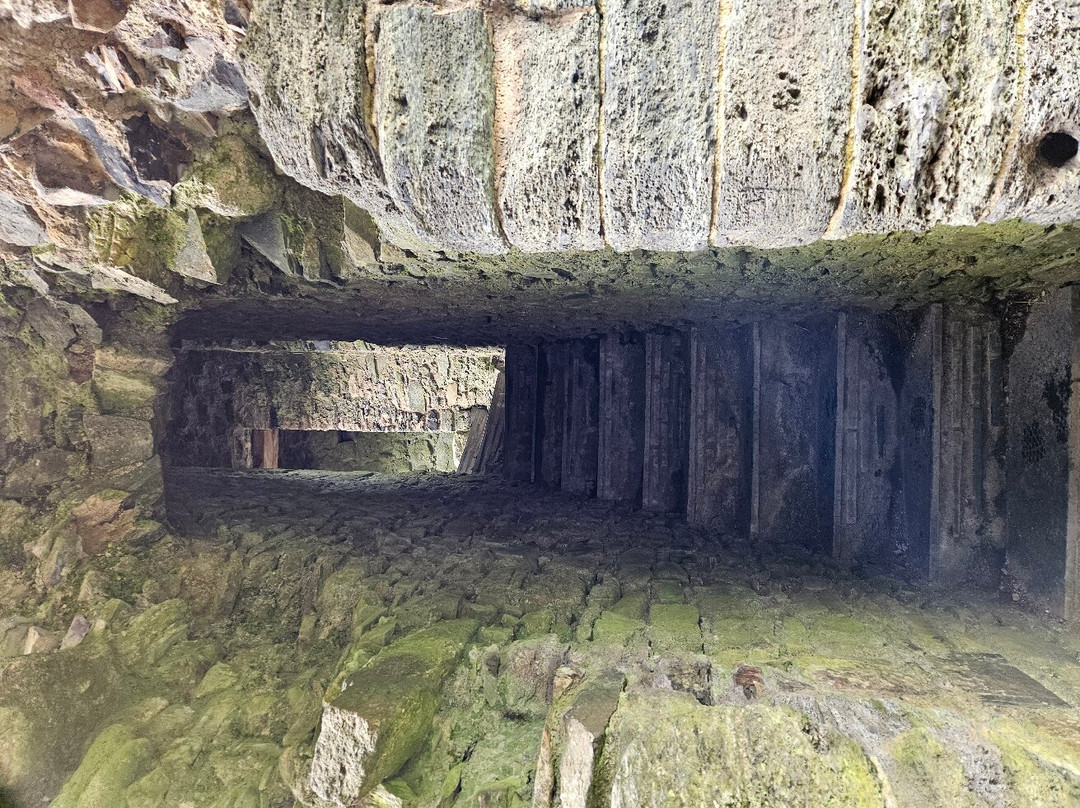 Lydford Castle & Saxon Town景点图片