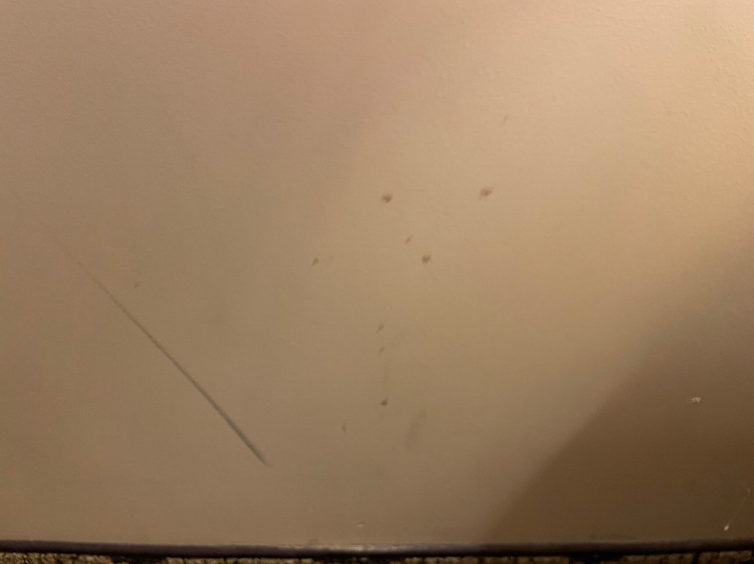 Aviator Hotel & Suites South I-55主图