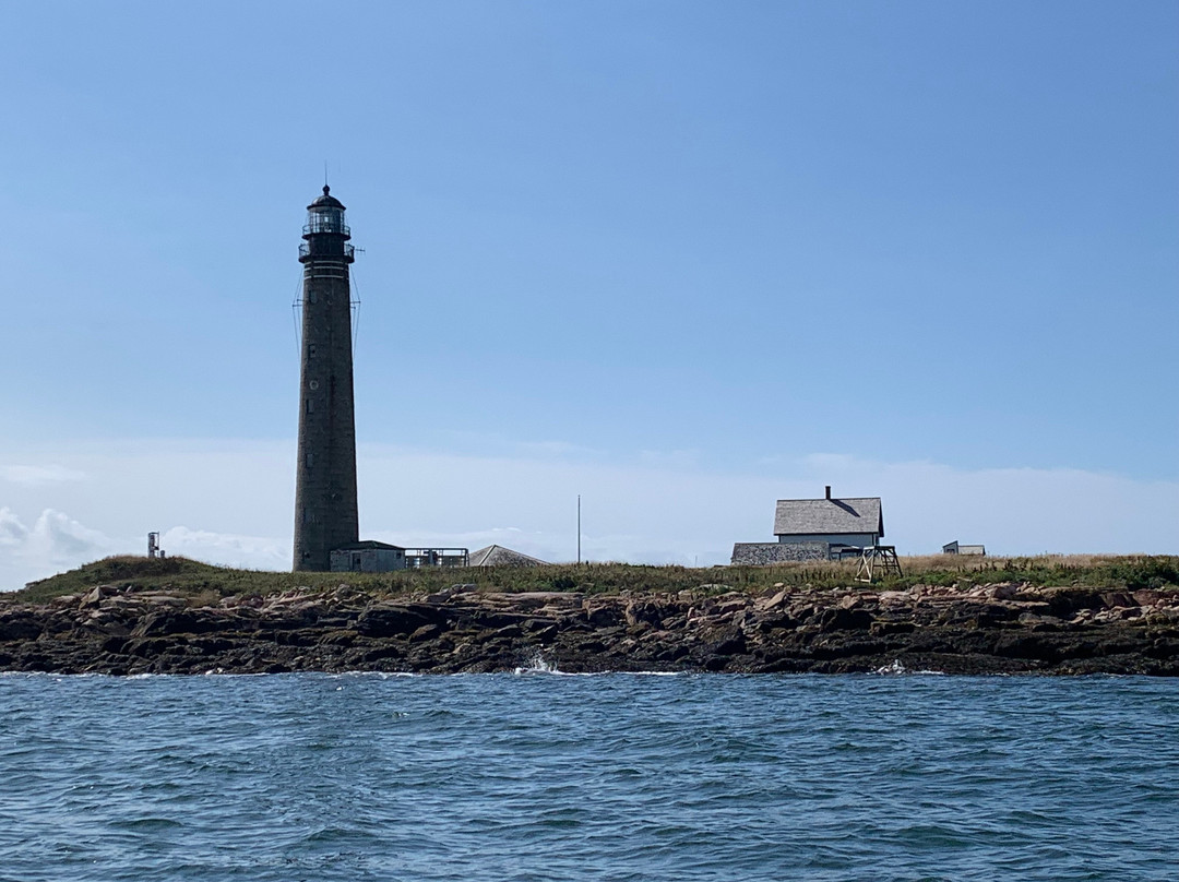 Robertson Sea Tours & Adventures景点图片