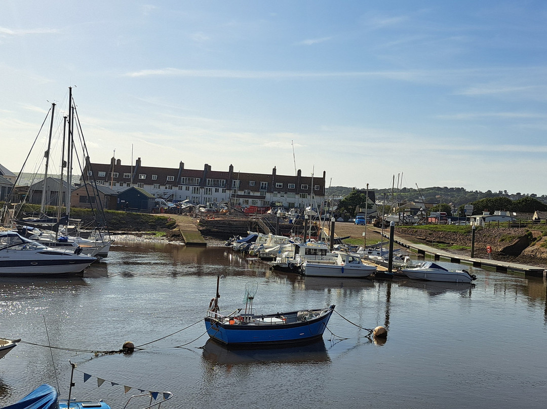 Axmouth Harbour景点图片