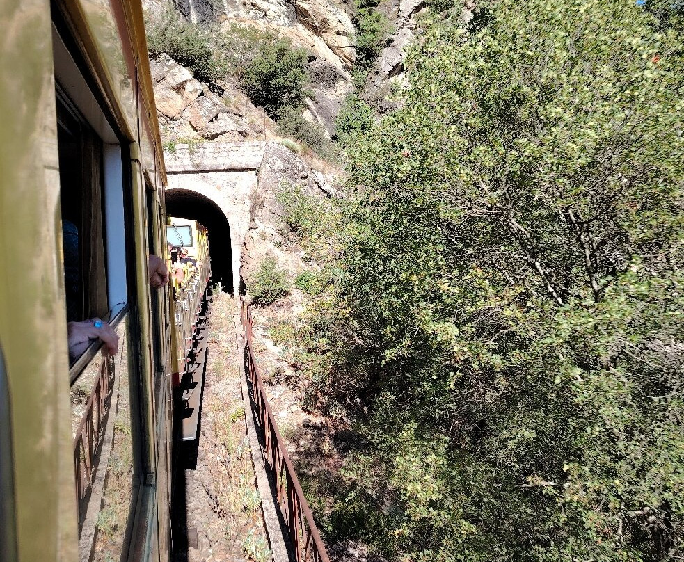 Le Train Jaune景点图片