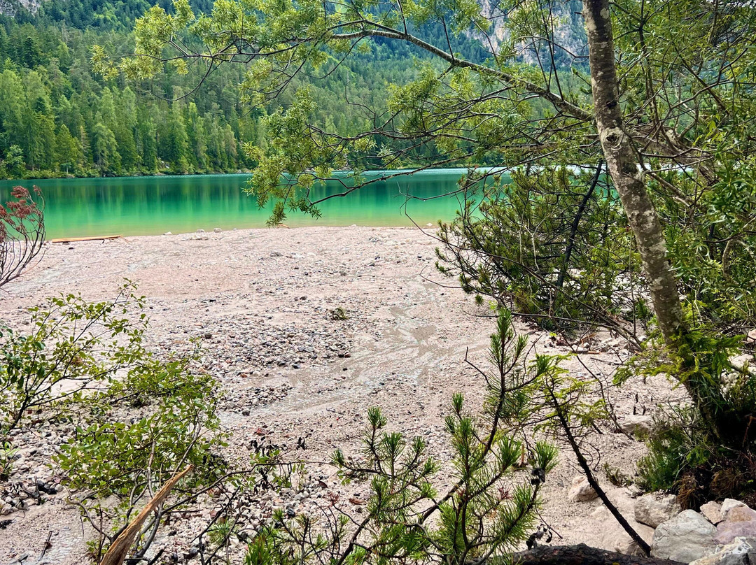 Lago di Tovel景点图片