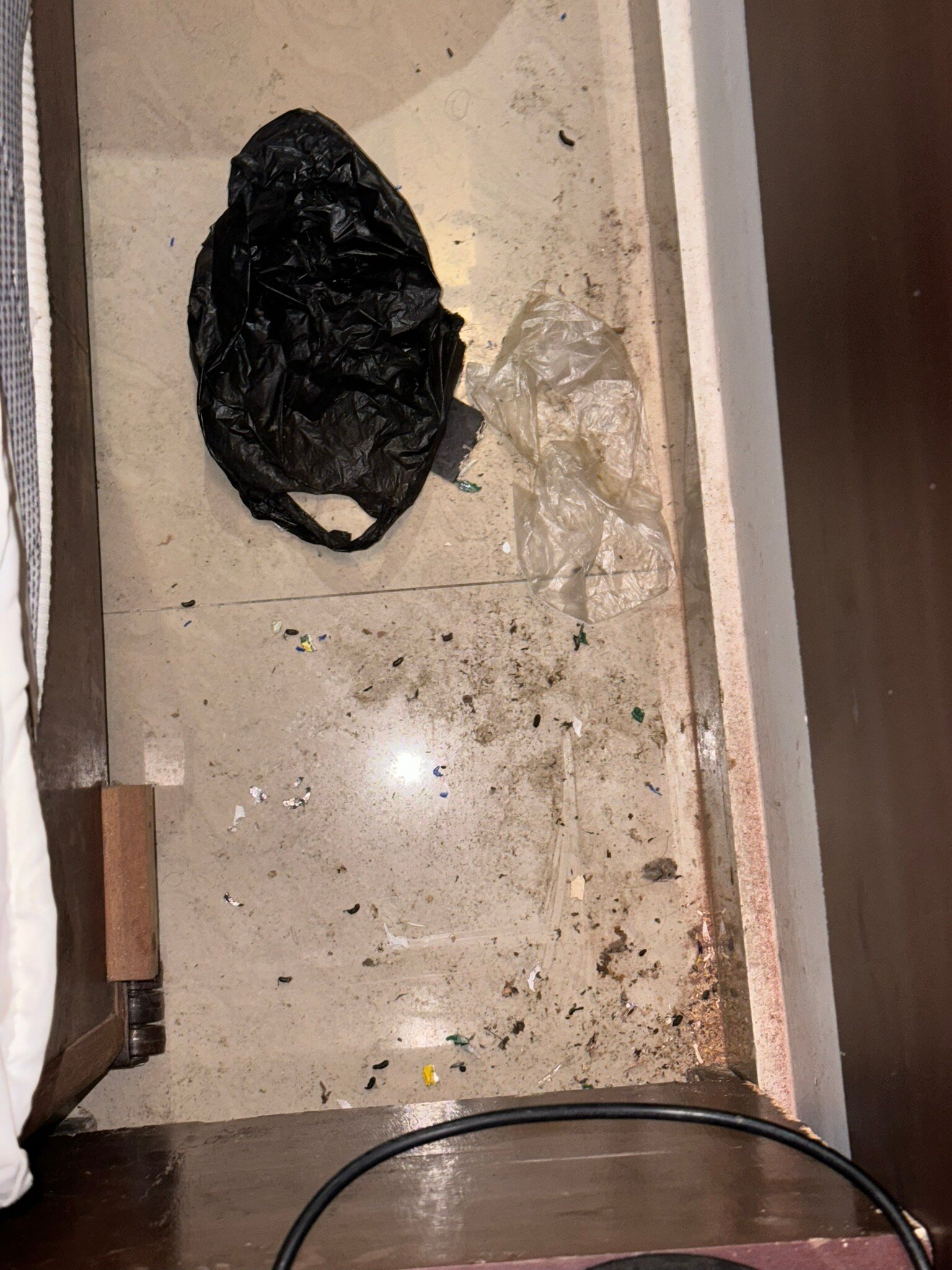 Hotel Adelphi Grande-官方