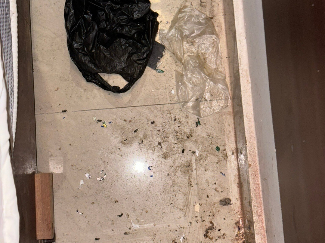 Hotel Adelphi Grande主图