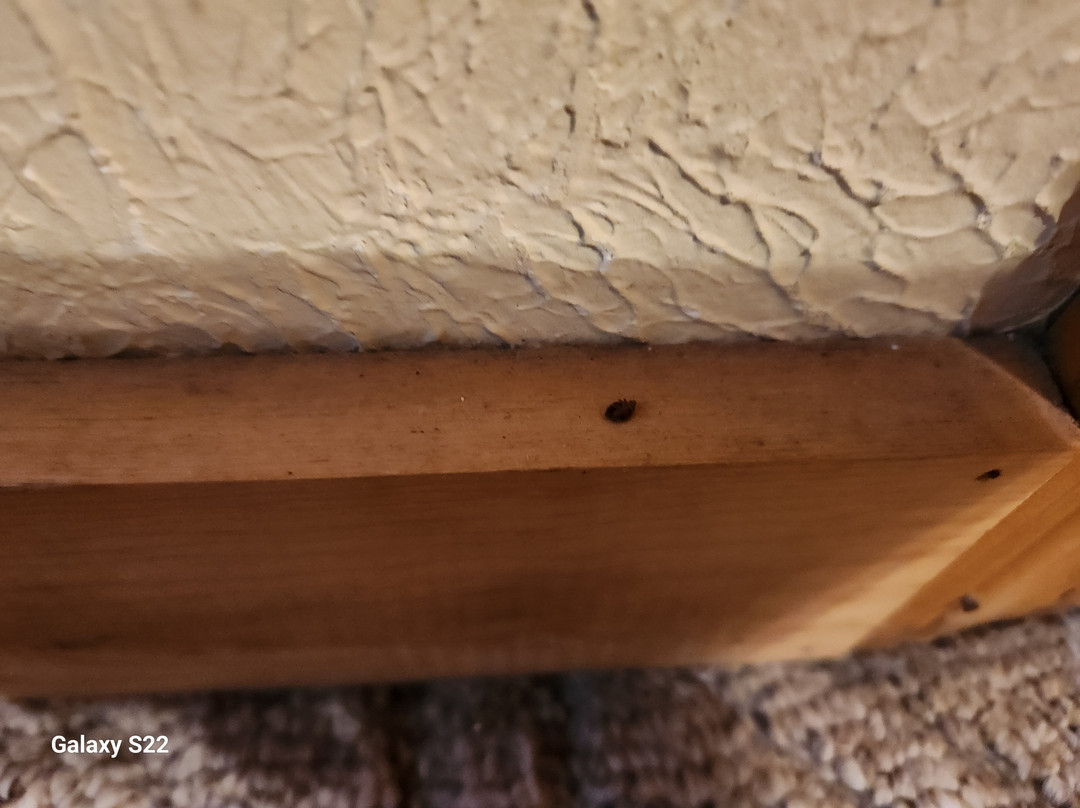 Thousand Hills Vacations主图