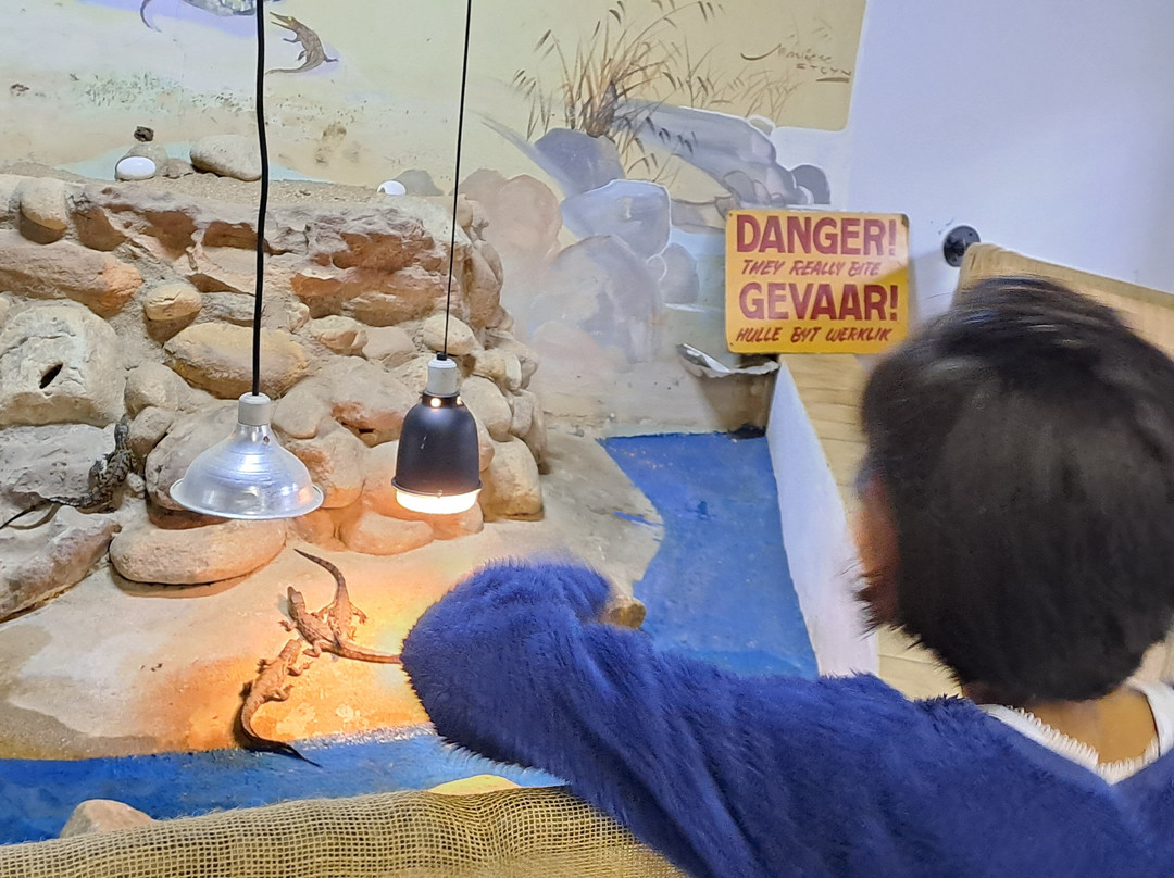 Riverbend Crocodile Farm-南帚必去景点