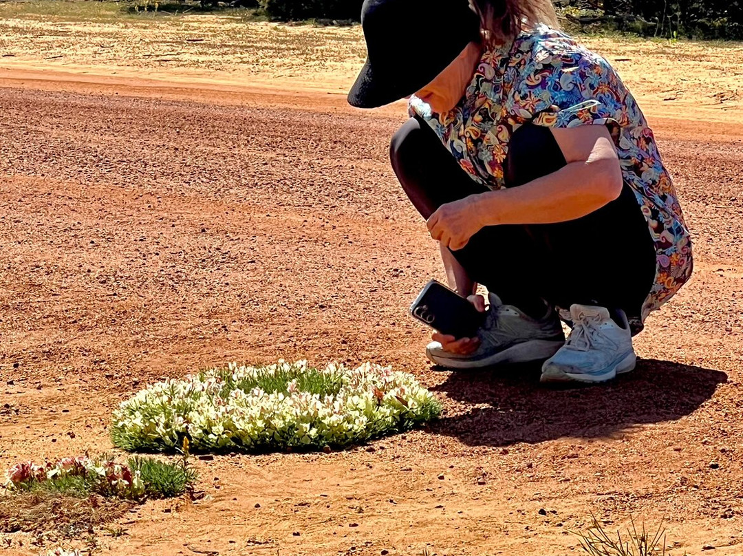 Inspirations Mullewa主图