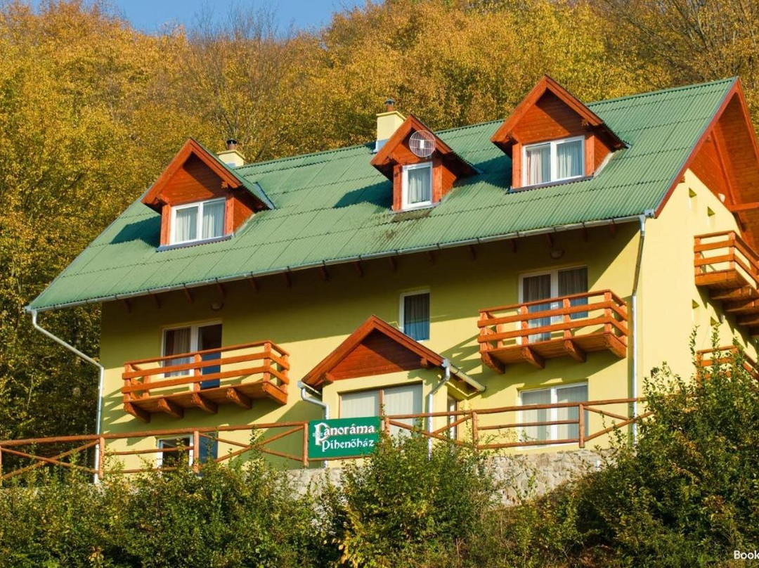 Pensiunea Panorama主图