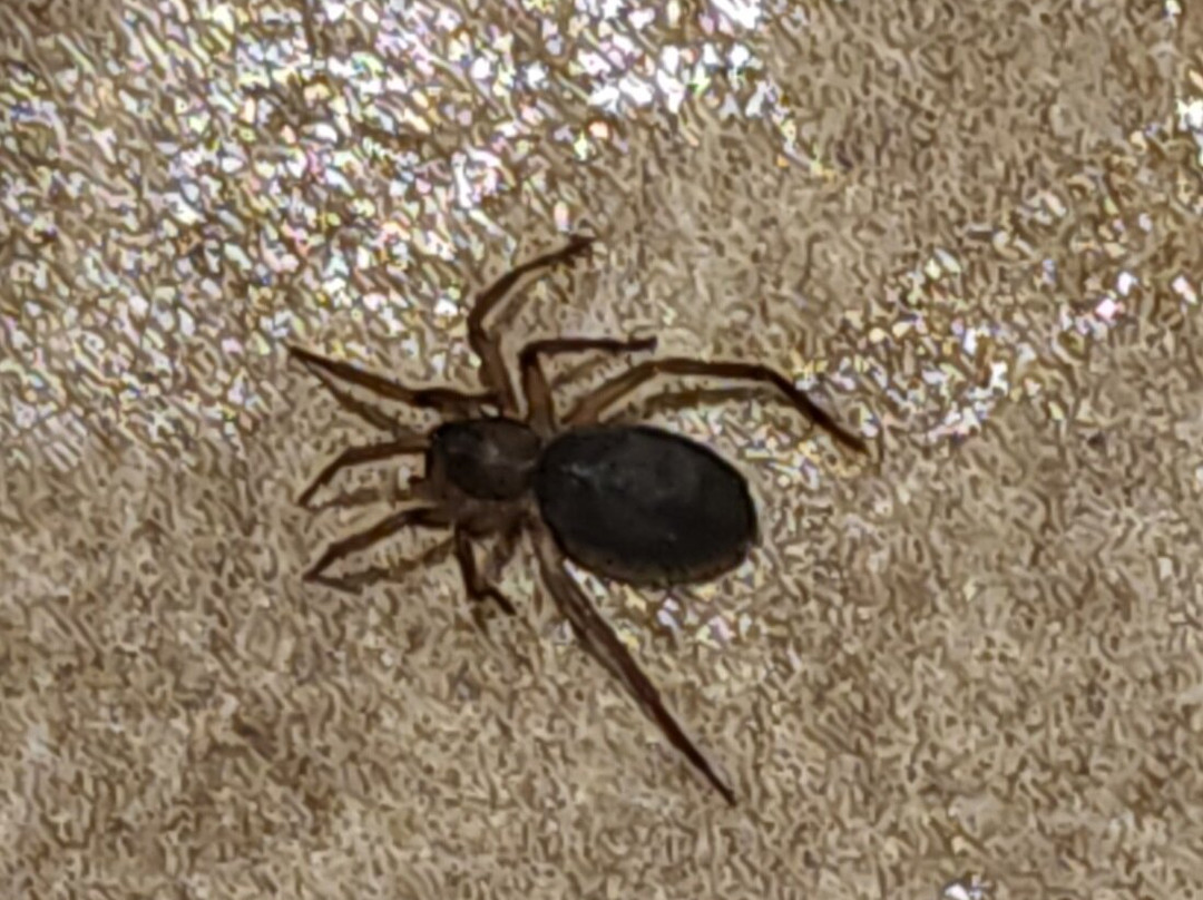 Hilton Garden Inn Albany主图