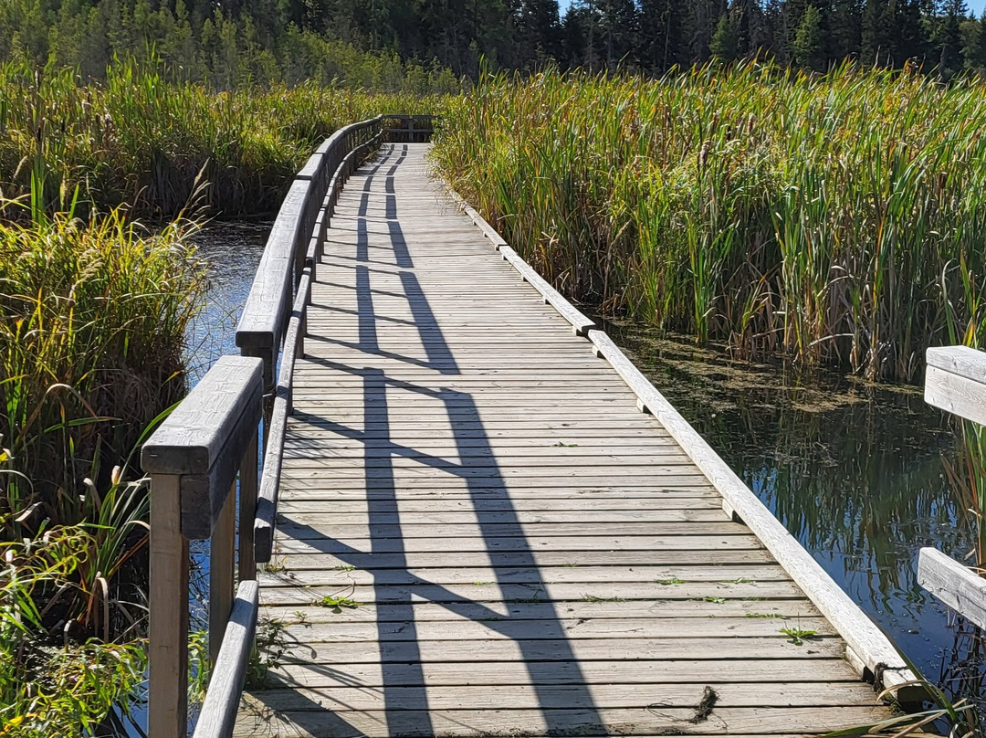 Ominik Marsh Trail-Wasagaming必去景点