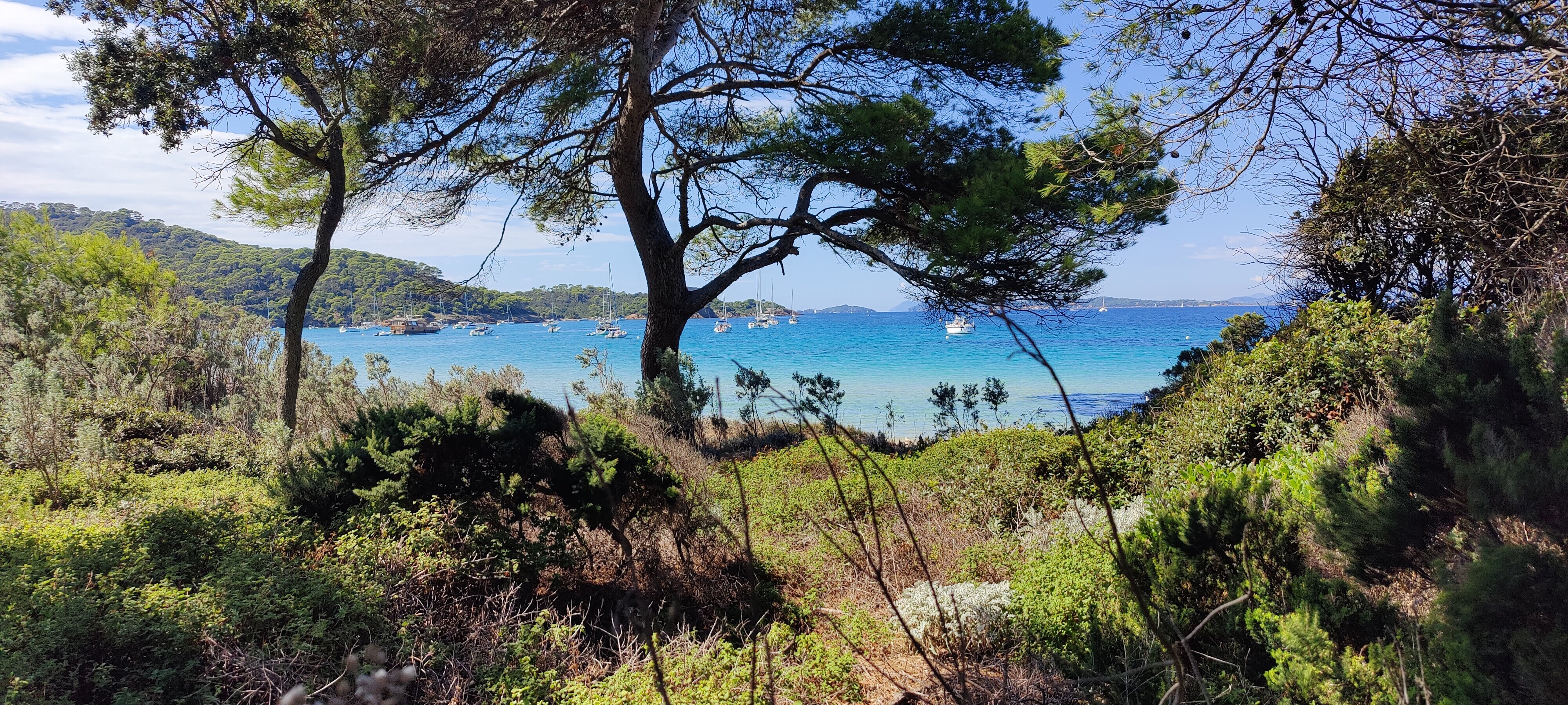 Vue De Mer-官方