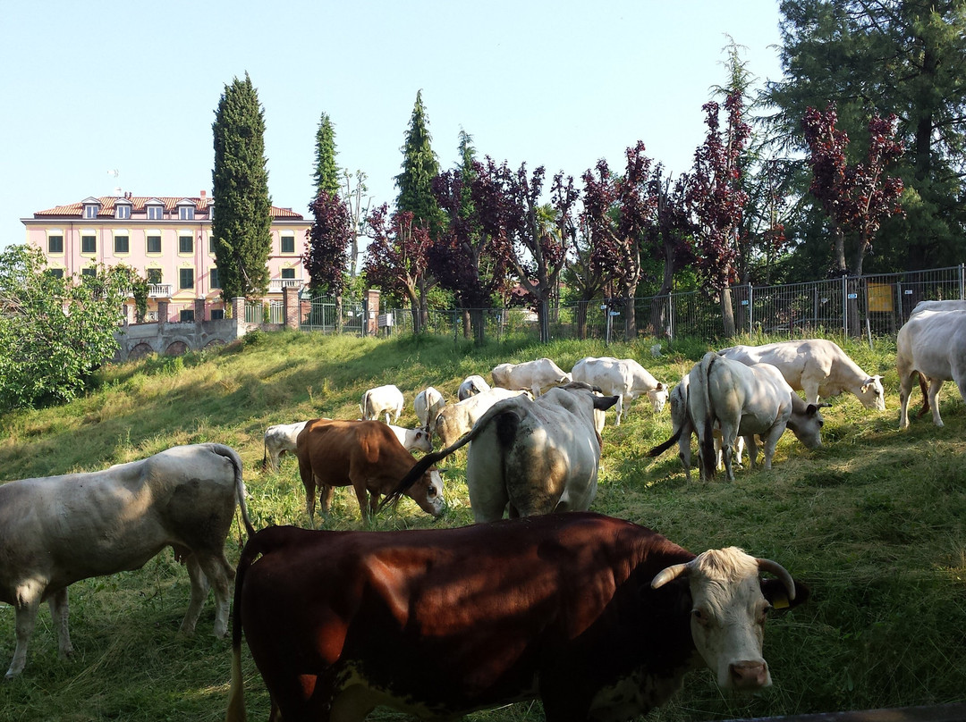 Studio di Felice Casorati景点图片