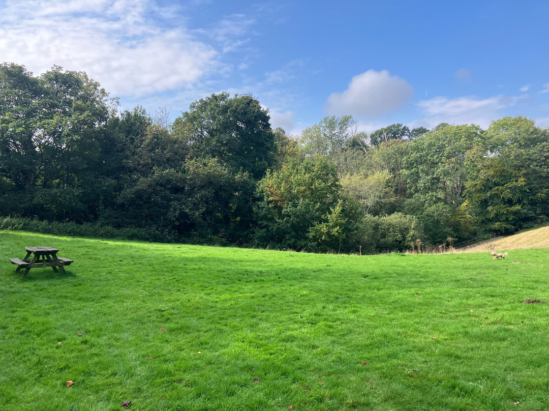 Brockhill Country Park景点图片