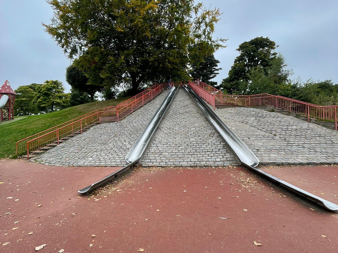 Duthie Park-阿伯丁必去景点