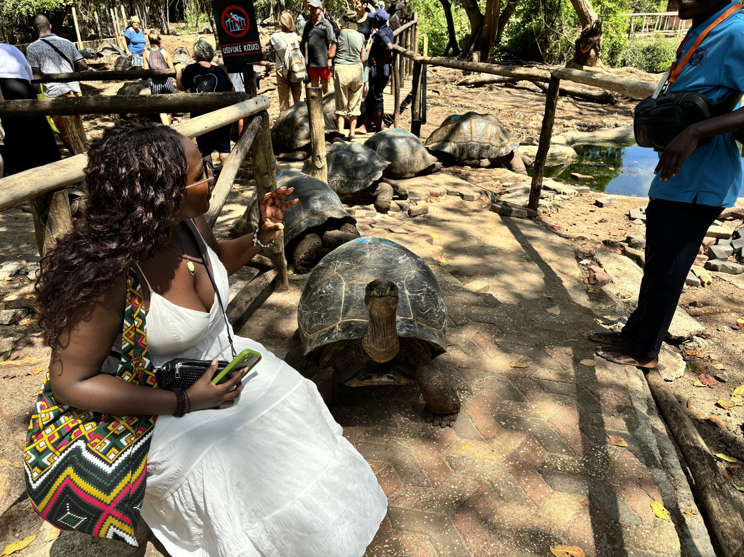 Jamal Zanzibar-石头城必去景点