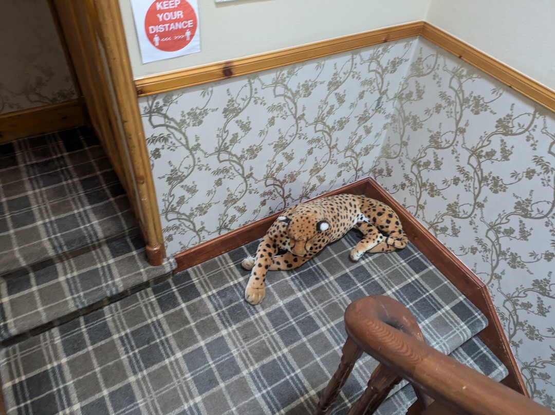 Ivanhoe Guest House主图