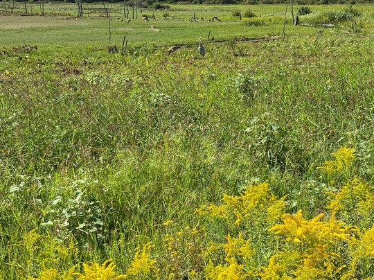 Sandy Ridge Reservation-North Ridgeville必去景点