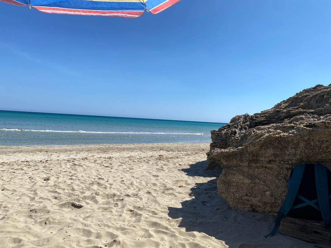 Spiaggia di San Lorenzo景点图片