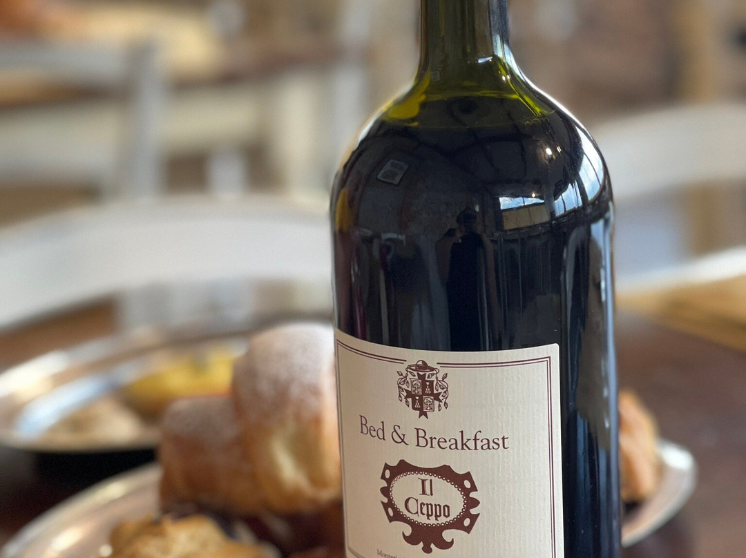 Bed and Breakfast Il Ceppo主图