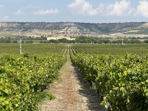 CulinarySpain-马德里必去景点