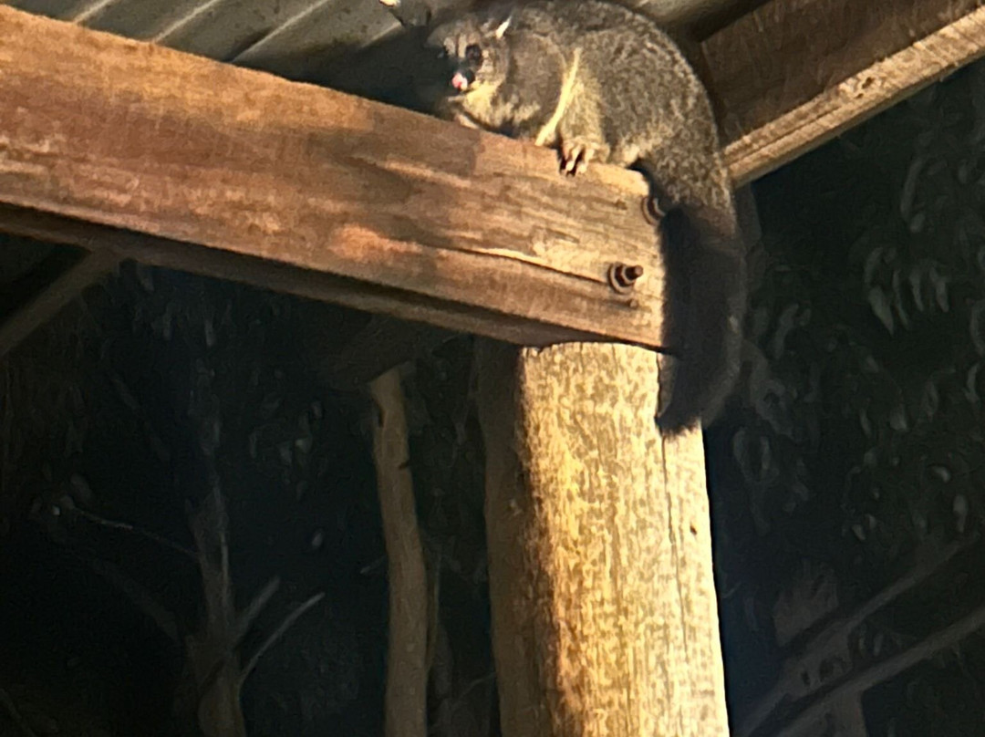 Evedon Lakeside Retreat主图