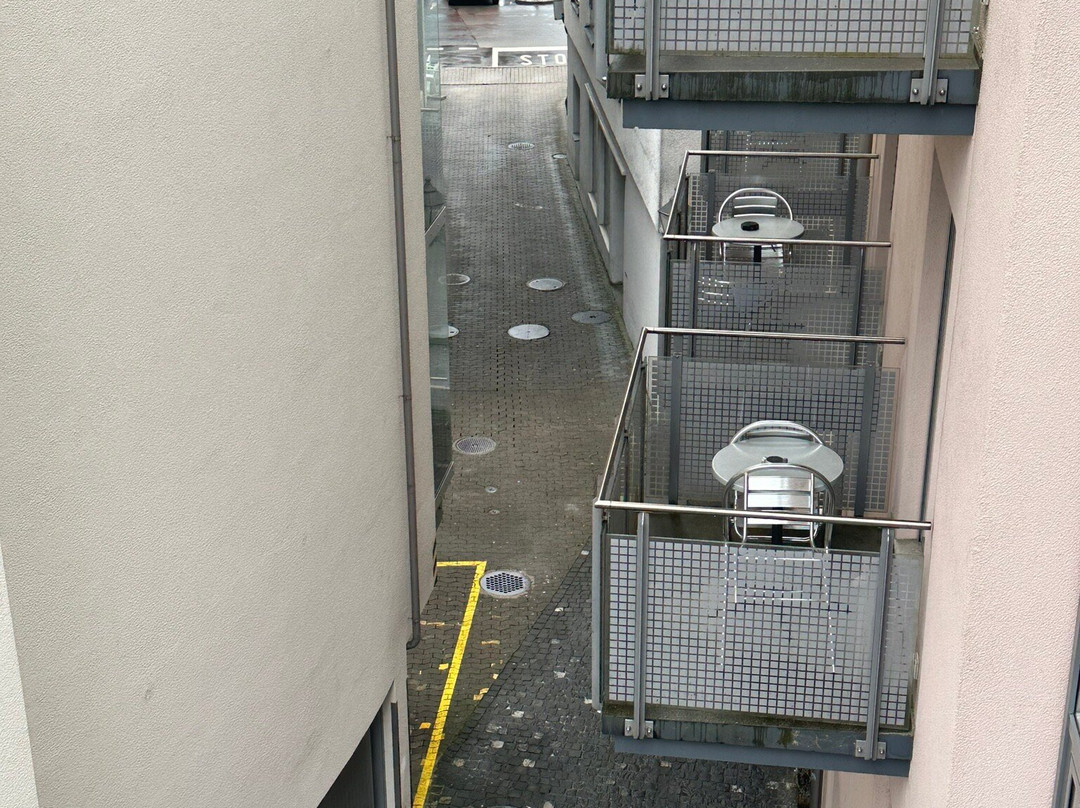 Hotel Weisses Roessli主图