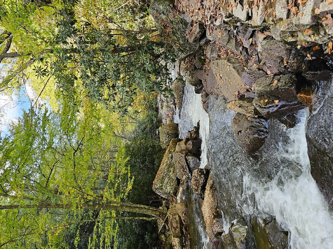 Cascade Falls景点图片