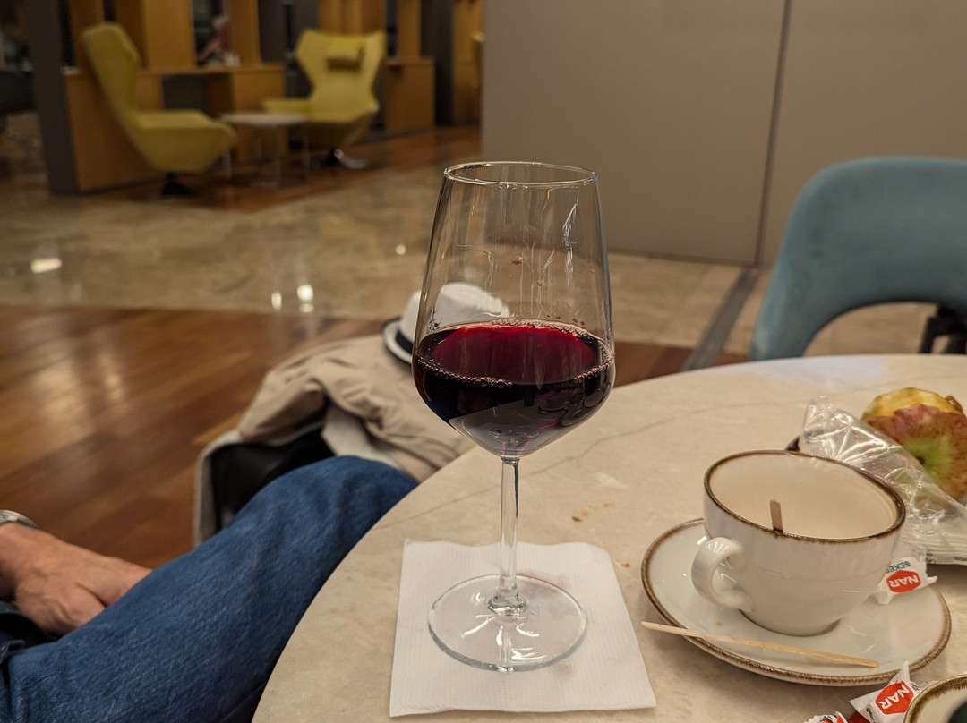 Dalaman Premium Lounge景点图片