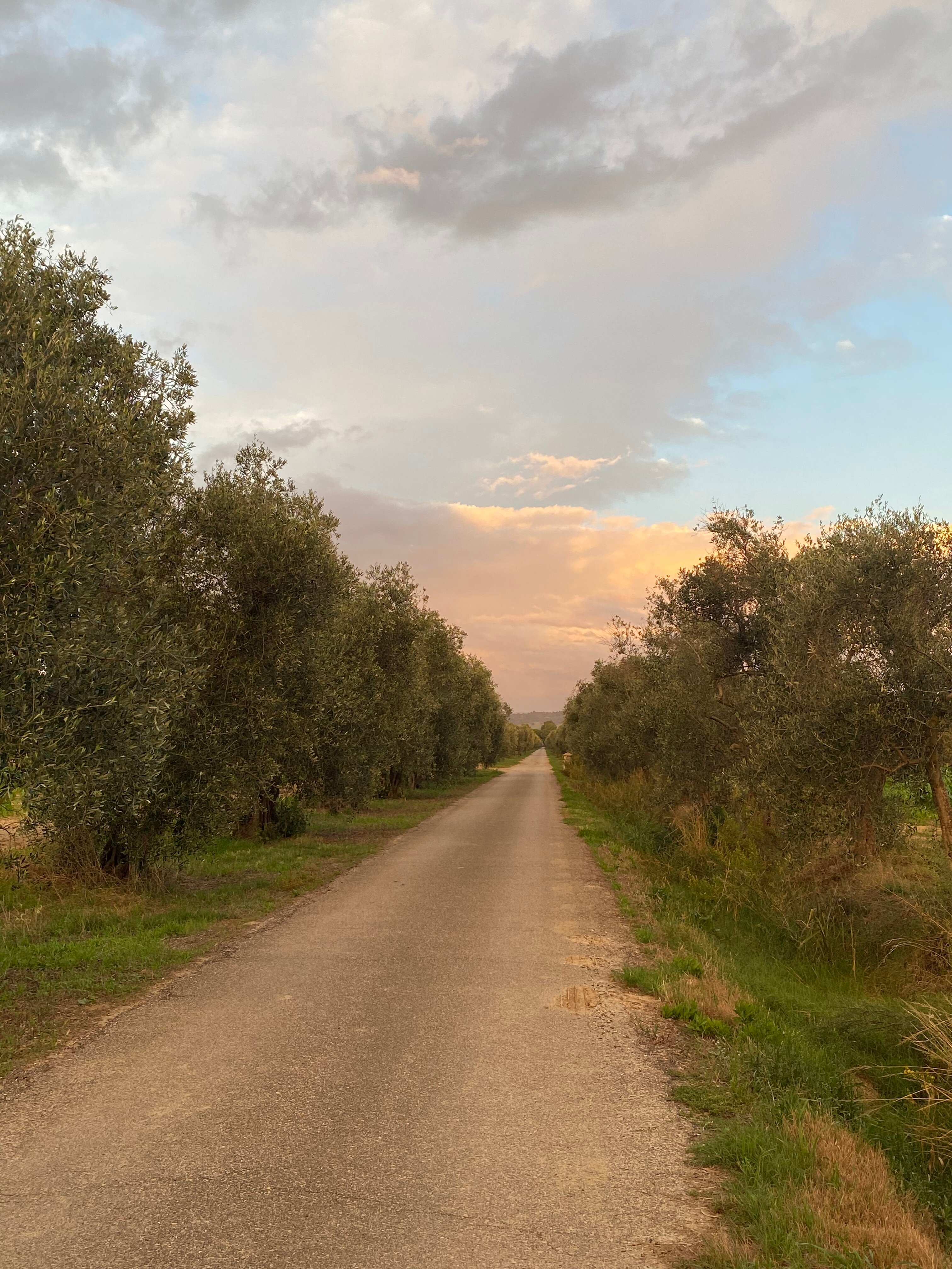 Fattoria San Lorenzo-官方