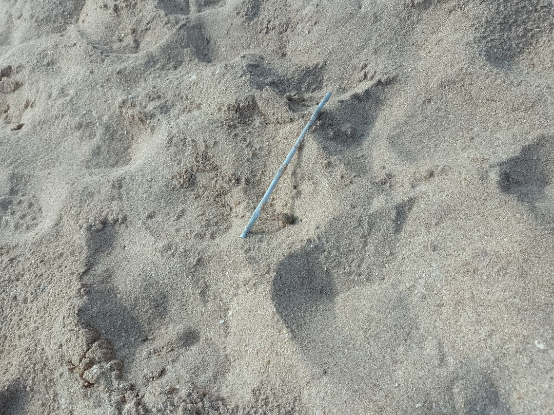 Turtle Watch Rekawa-唐卡拉必去景点