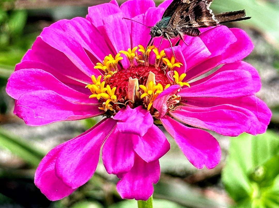 Amazing Grace Family Farms-Green Cove Springs必去景点