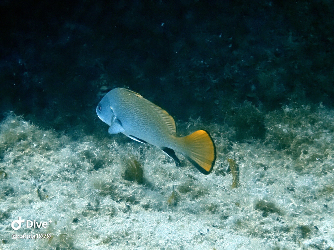 Bliss Dive-Marsalforn必去景点