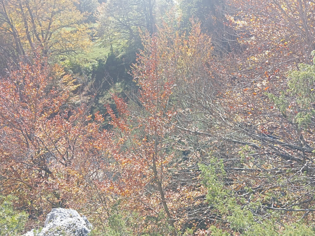 Sentiero F2 di Val Fondillo-Opi必去景点