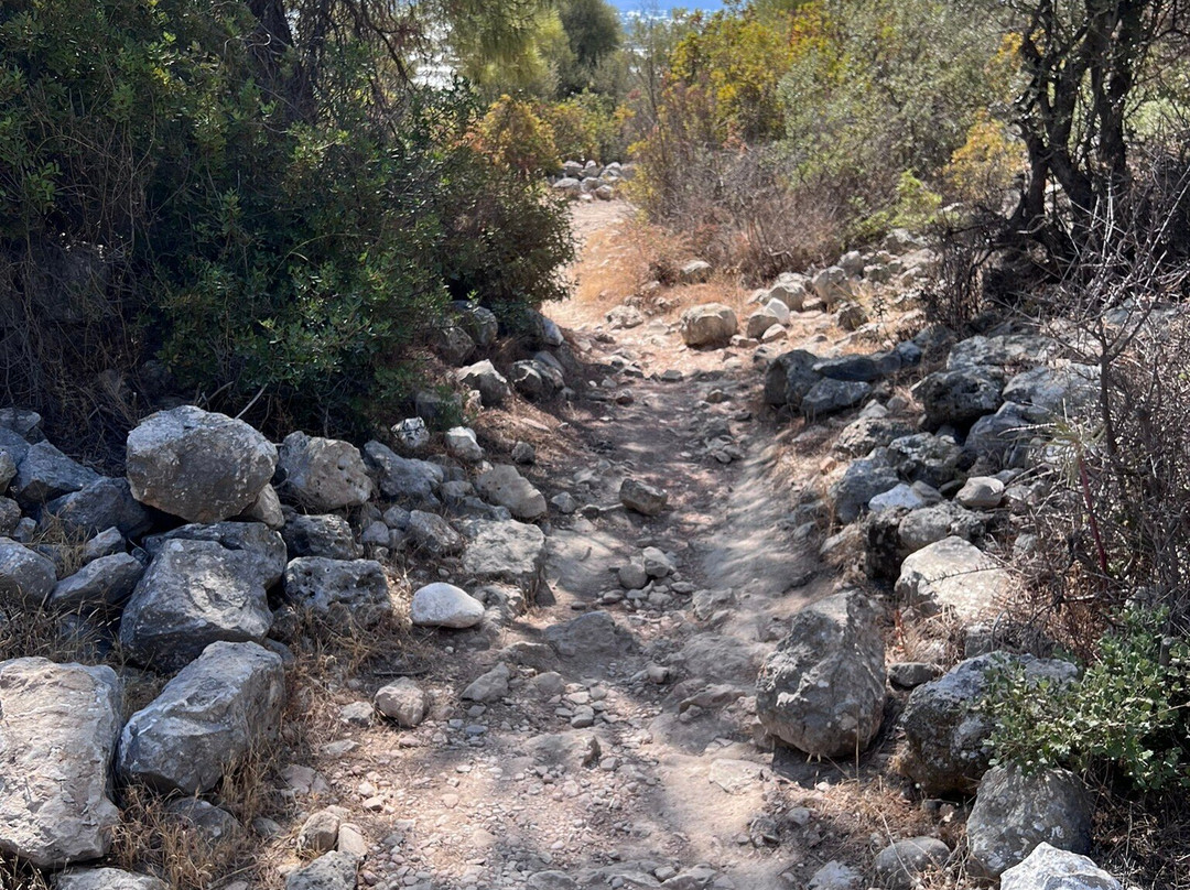 Xanthos Antik Kenti景点图片