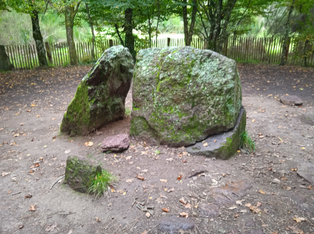 Tombeau de Merlin / Fontaine de Jouvence景点图片