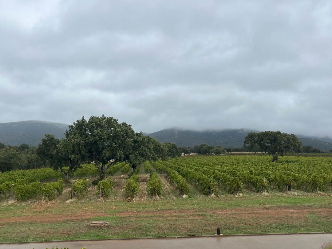 Weingut Vallegarcia景点图片