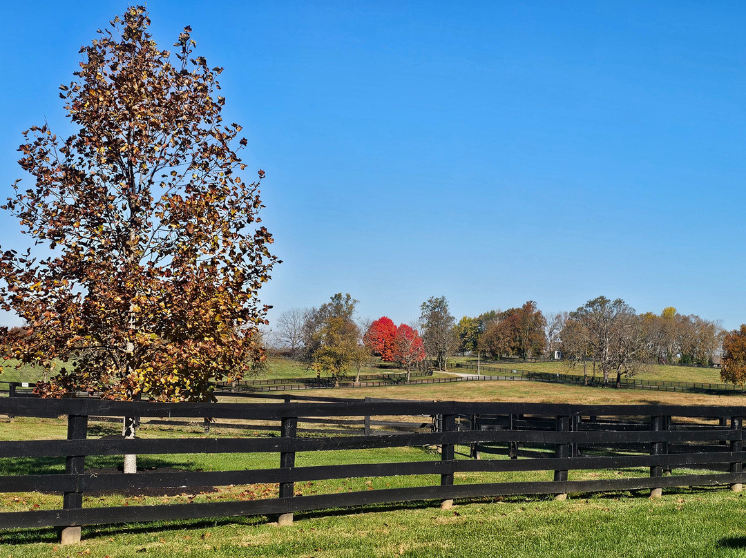 Three Chimneys Farm-Versailles必去景点