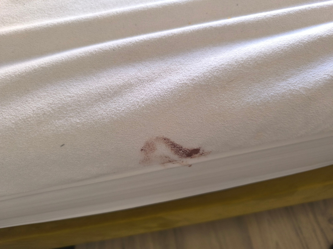 Theranda Hotel主图