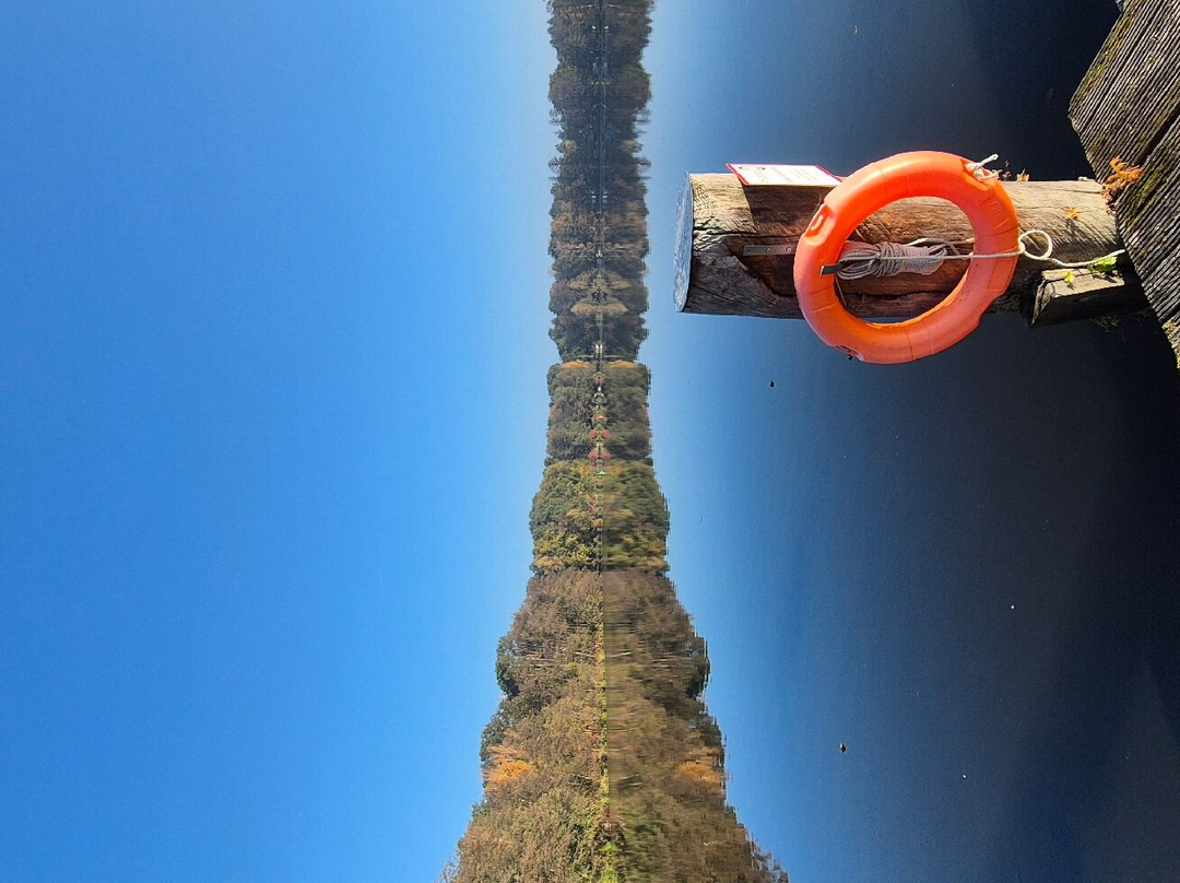 Hotel Waldhaus Prieros主图