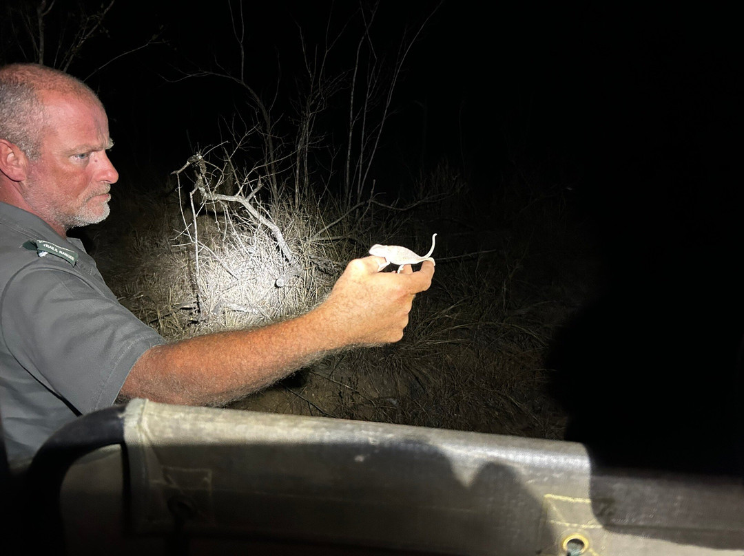 Wolhuter Wilderness Trail-克鲁格国家公园必去景点