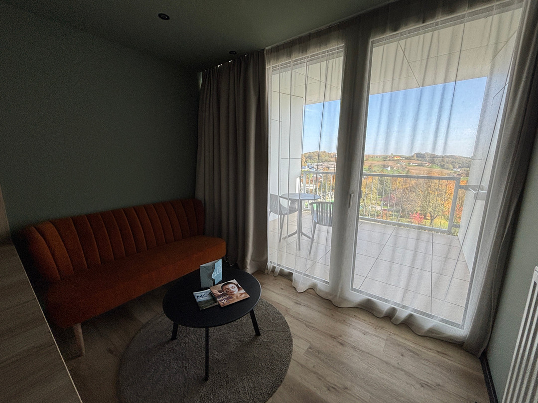 Thermenhotel Stoiser主图