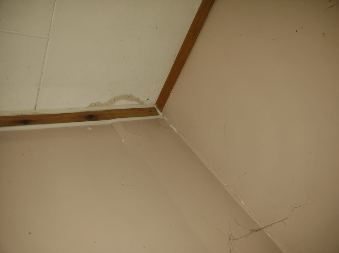 Mindemoya Motel主图