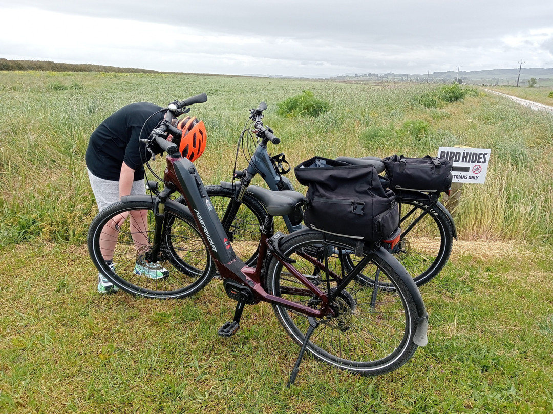 Shorebird Cycles-Kaiaua必去景点