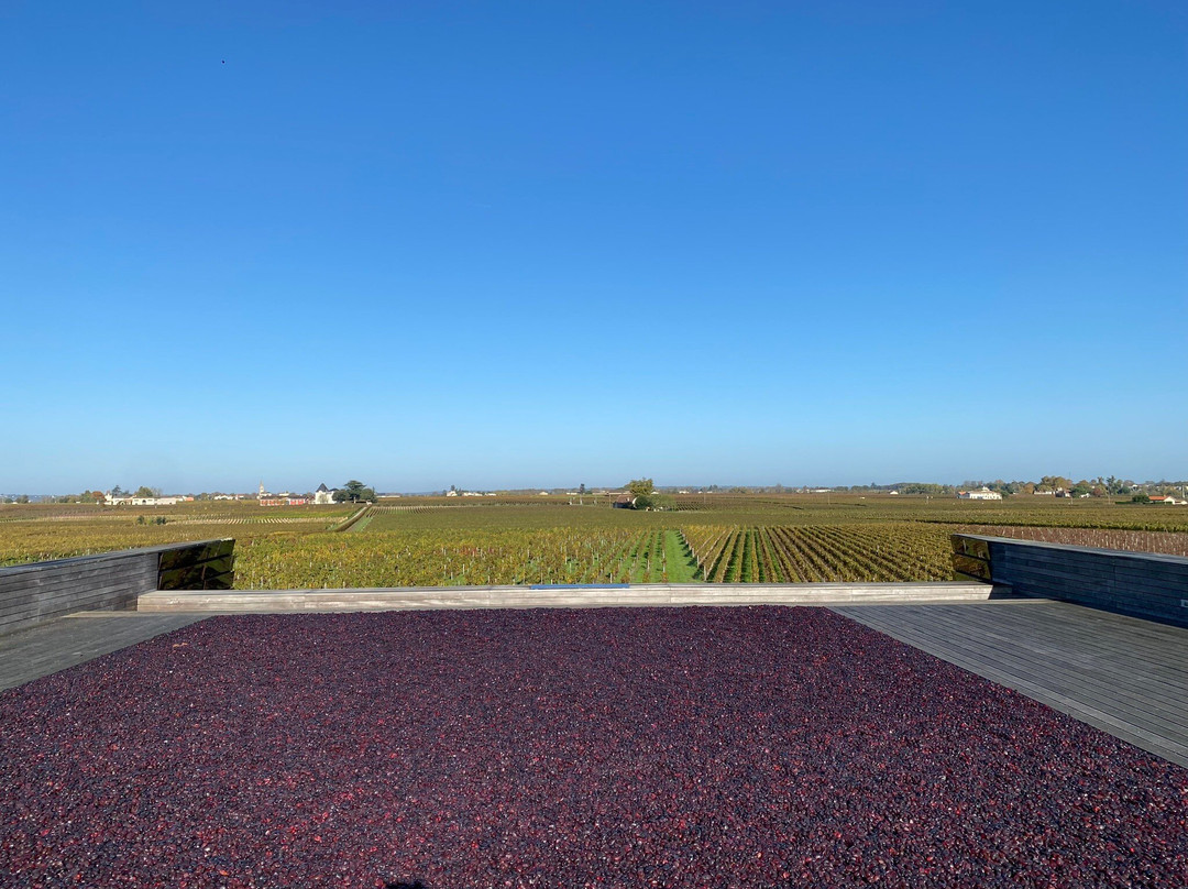 Château La Dominique-圣埃美隆必去景点