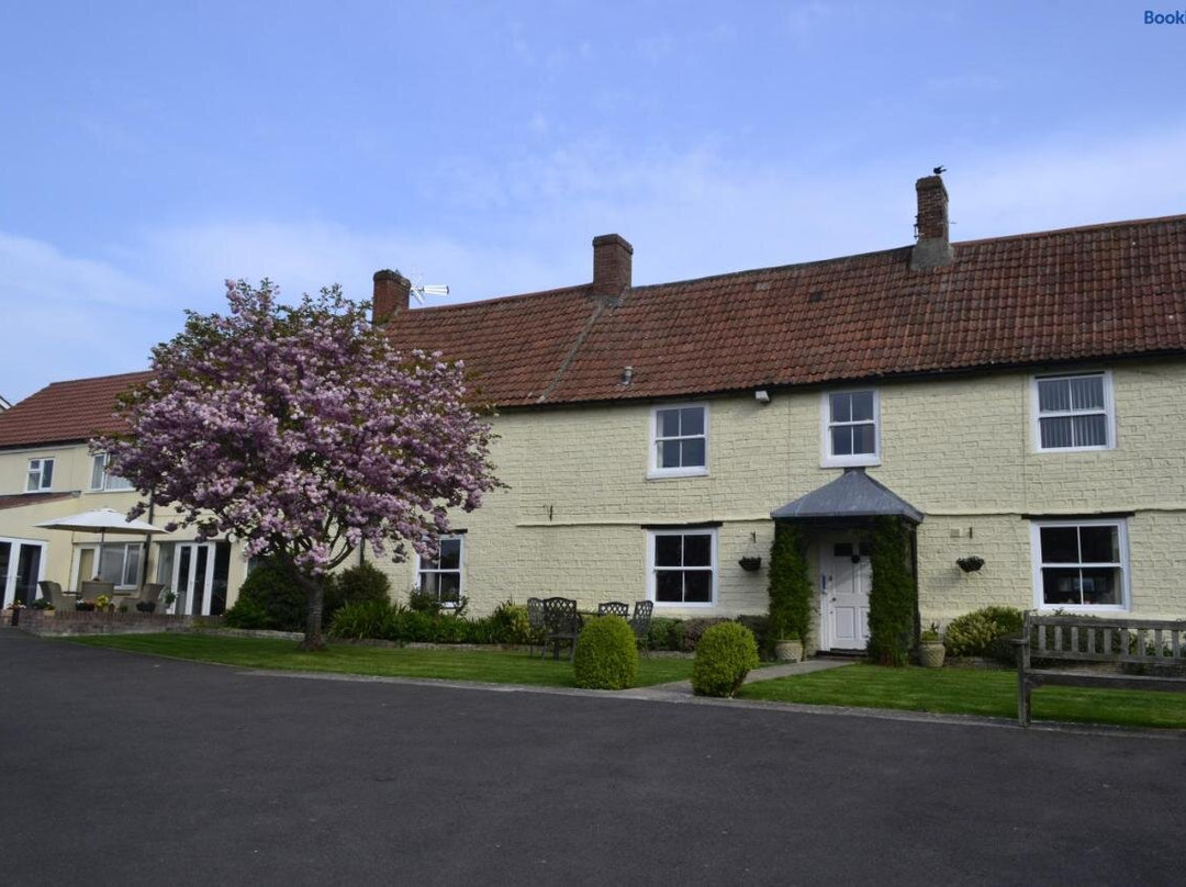 The Lawns Tea Room and B&B主图