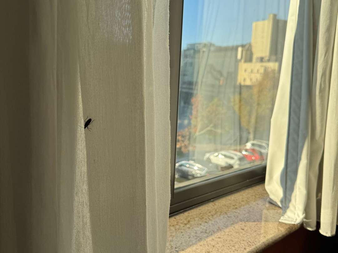 新伦敦假日酒店主图