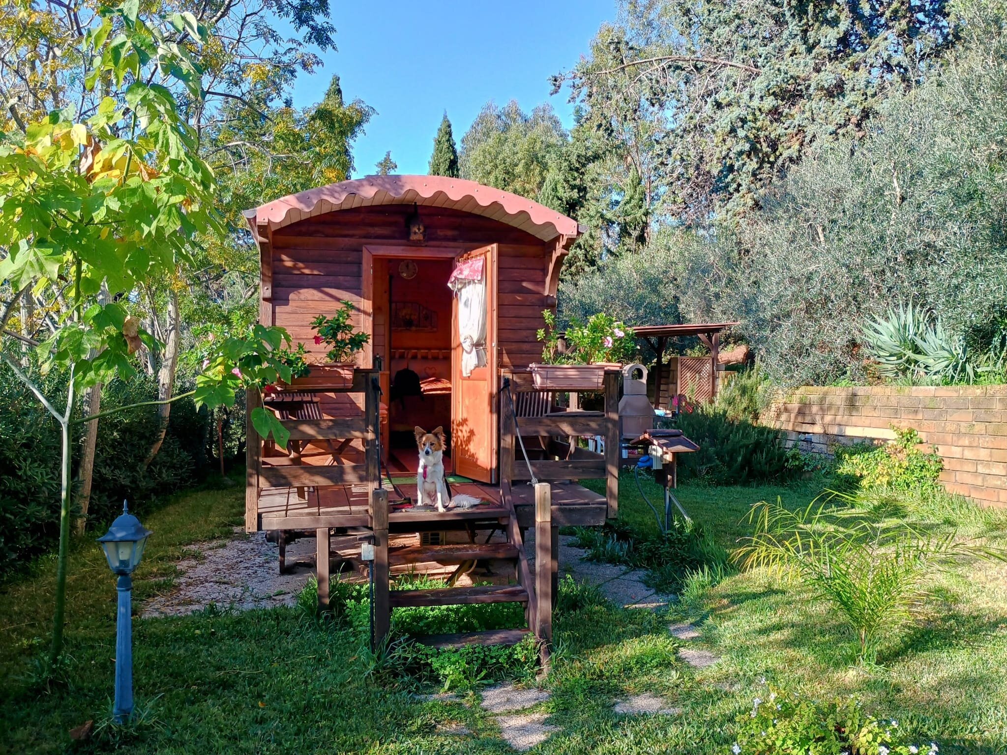 Phoenix B&B-官方
