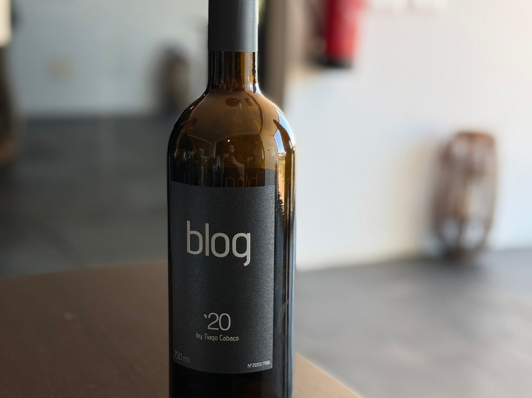 Tiago Cabaço Winery景点图片